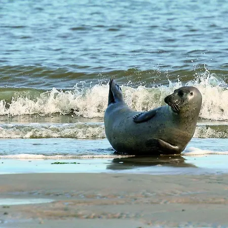 Gud Jard Nr 21 - Design-ferienhaus Mit Exklusiver Ausstattung Feriehus Pelvorm