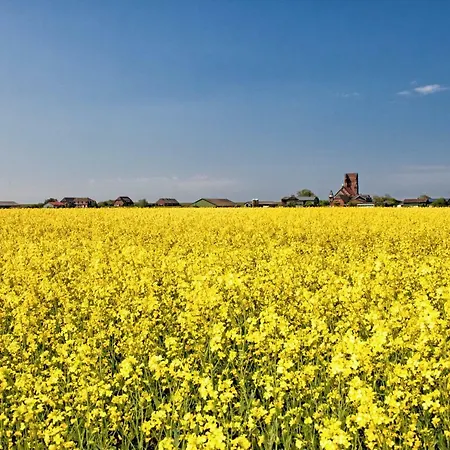 Gud Jard Nr 21 - Design-ferienhaus Mit Exklusiver Ausstattung Feriehus *