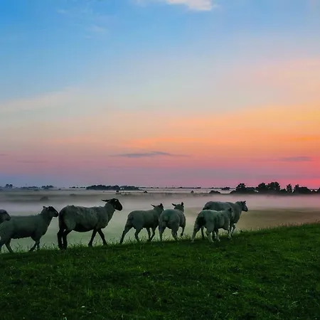 Gud Jard Nr 21 - Design-ferienhaus Mit Exklusiver Ausstattung * Pelvorm