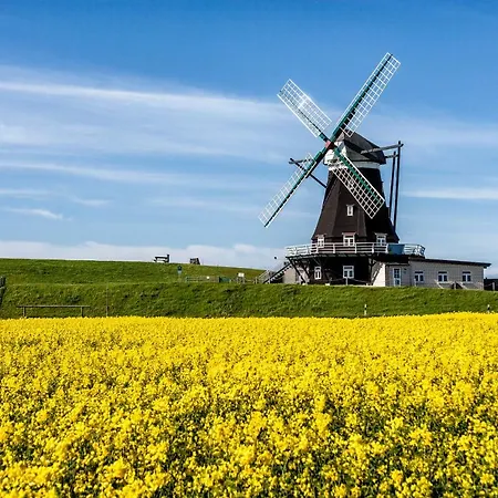 Gud Jard Nr 21 - Design-ferienhaus Mit Exklusiver Ausstattung Feriehus